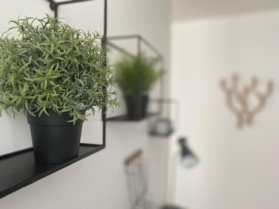 Les Beaux Arts, Appartement Au Coeur De Rouen Esterno foto